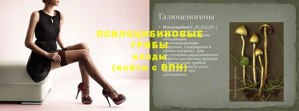 герыч Алзамай