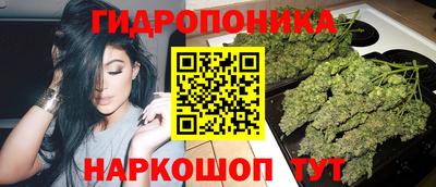 ALPHA PVP Кунгур