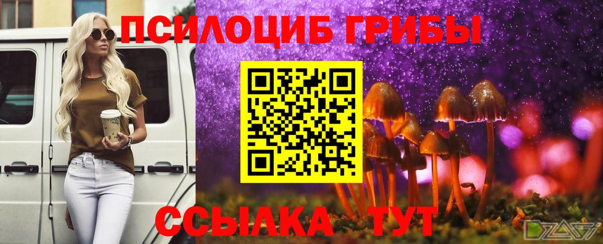 продажа наркотиков  Псилоцибиновые грибы ЛСД  Вход с VPN  Изобильный 