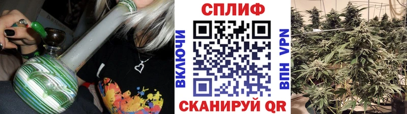 Марихуана White Widow  Изобильный 